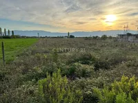 Tokë në shitje Grudë e Re, Shkodër