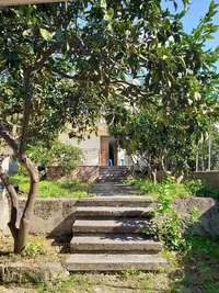 Shtepi Private ne Qender