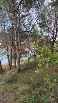 Shitje objekt me truall në një zonë shumë të favorshme në Kasharaj, Lushnjë, i pozicionuar shumë pranë liqenit (reze